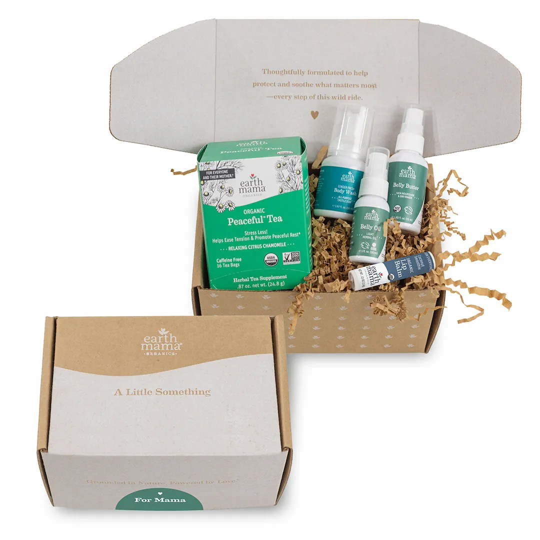 Earth Mama A Little Something for Mama presentkit 5-delar