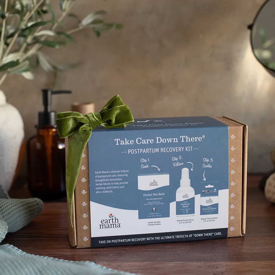 Earth Mama Take Care Down There Postpartum Recovery Kit förlossningskit