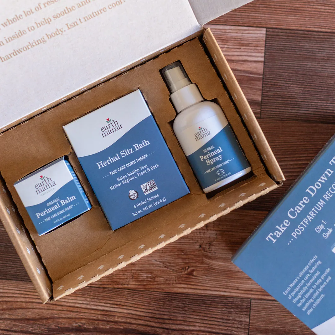 Earth Mama Take Care Down There Postpartum Recovery Kit förlossningskit